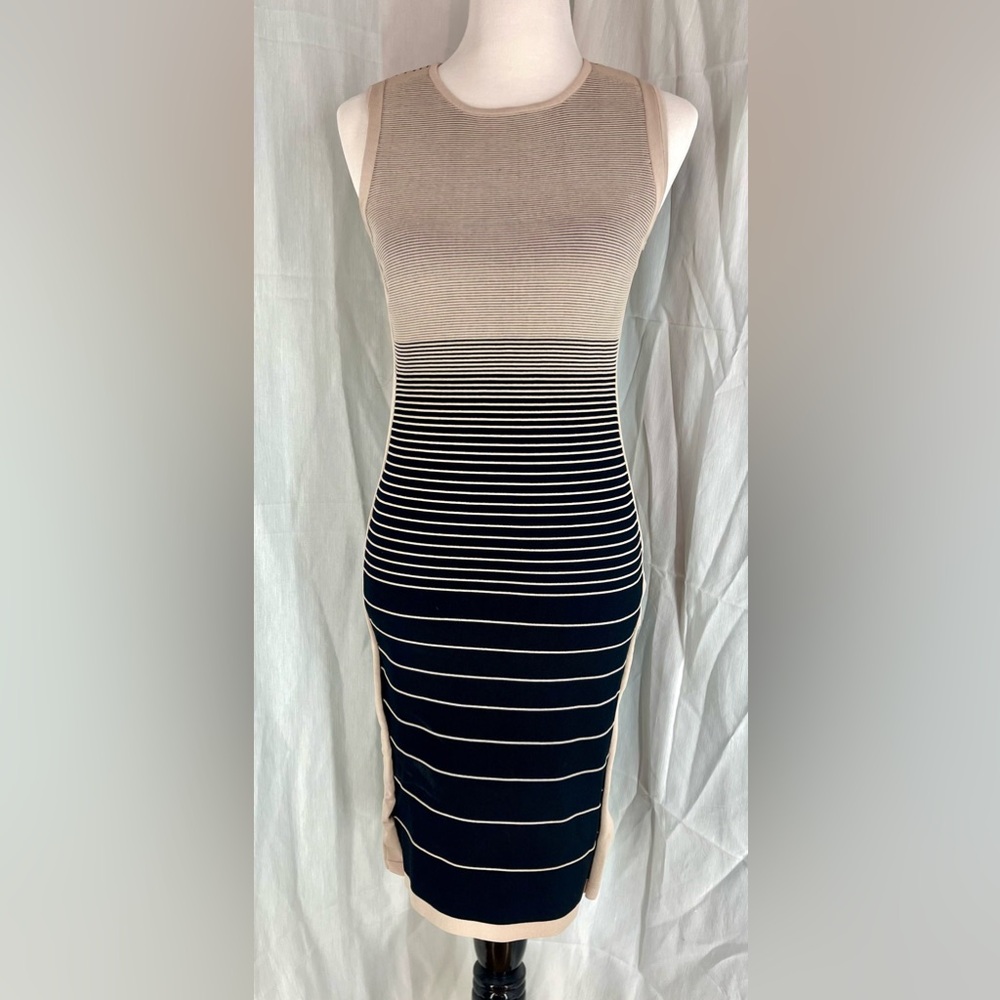 philosophy Beige and Black Striped Dress